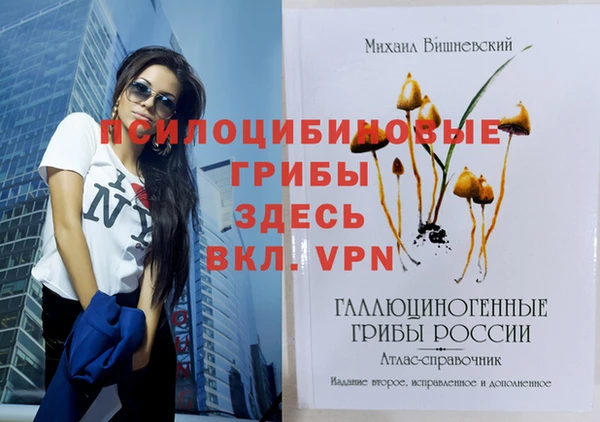 экстази Ростов