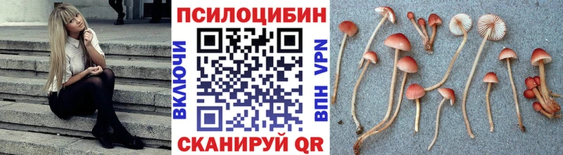 Псилоцибиновые грибы Magic Shrooms  Купить где  Армавир 